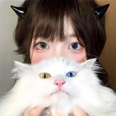 完美的他